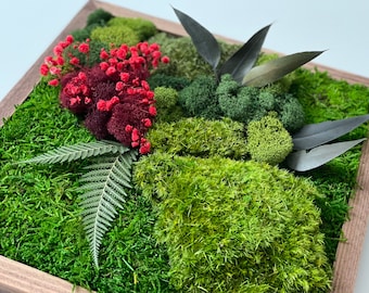 DIY Moss & Floral Art Kit – Preserved Botanical Wall Decor