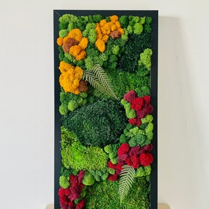 Preserved moss art frame in yellow and red. No maintenance required. Size 20x10 in.