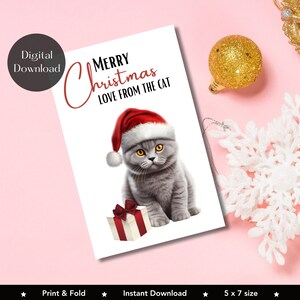 Printable Christmas Card From The Cat, Cat Greetings Card, Print At Home