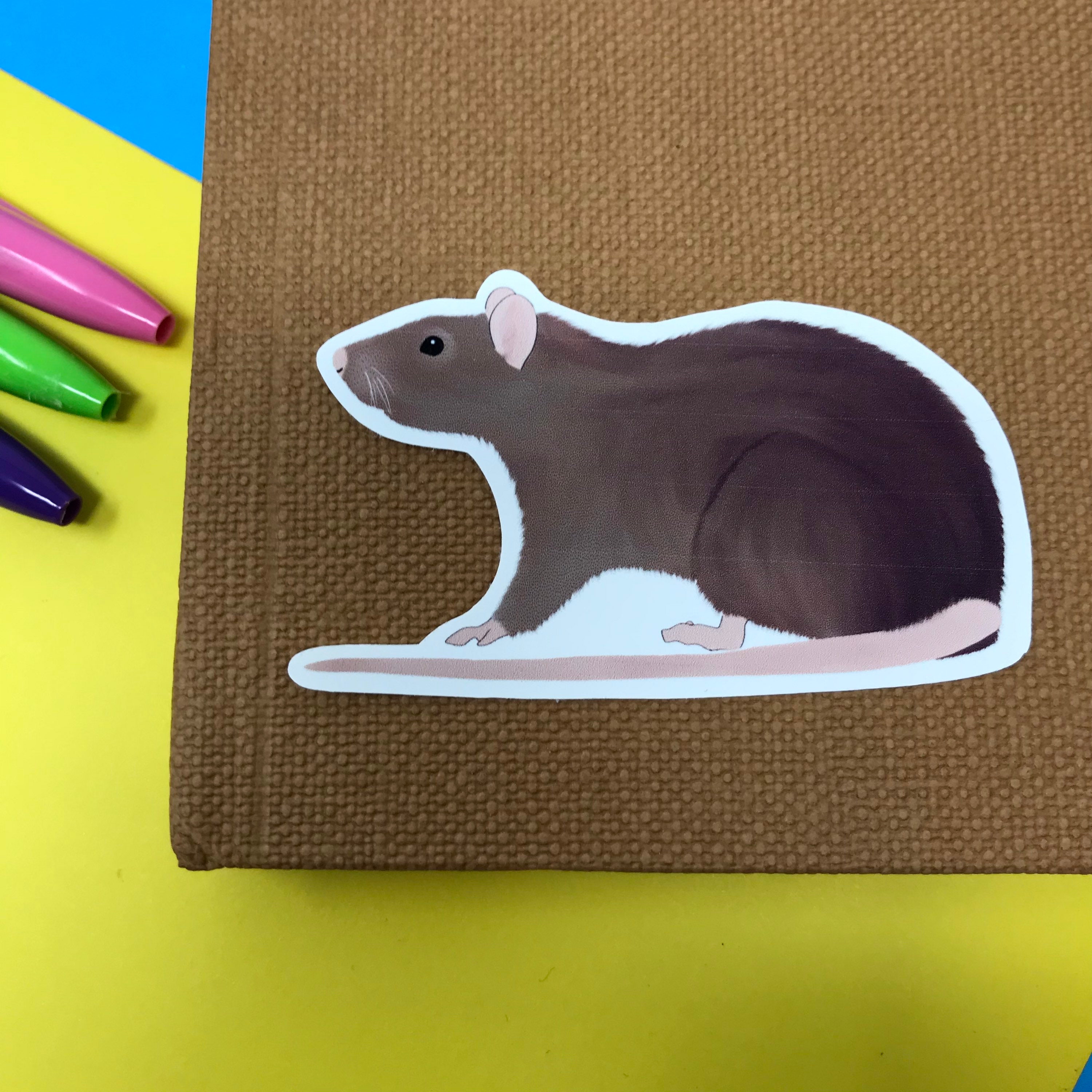 Rat vinyl sticker brown rat sticker cute rodent pet sticker Etsy
