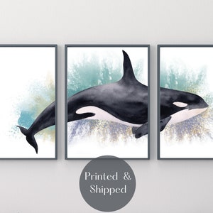 KILLER WHALE PRINT Set Of 3, Orca Print, Ocean Animal Wall Decor, Sealife Theme Wall Decor For Bathroom Triptych Style Art Print Unframed
