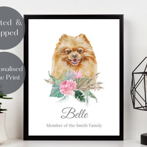 Pomeranian Print, Personalised Dog wall art, Pomeranian portrait watercolour, pet lover gift, Mother’s Day gift, pet memorial picture