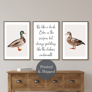 SET OF 3 DUCK Art prints, watercolour ducks wall decor, inspirational quote, rustic home decor, male and female duck pictures: Unframed