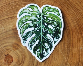 Monstera Deliciosa Leaf Sticker | Thai Constellation | Plant Lovers Illustrated Vinyl Sticker