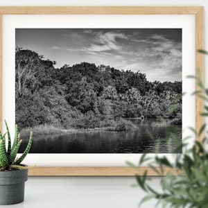 Intracoastal Lagoon, Florida Intracoastal Waterway, Fine Art Black and White Photo Wall Art Print