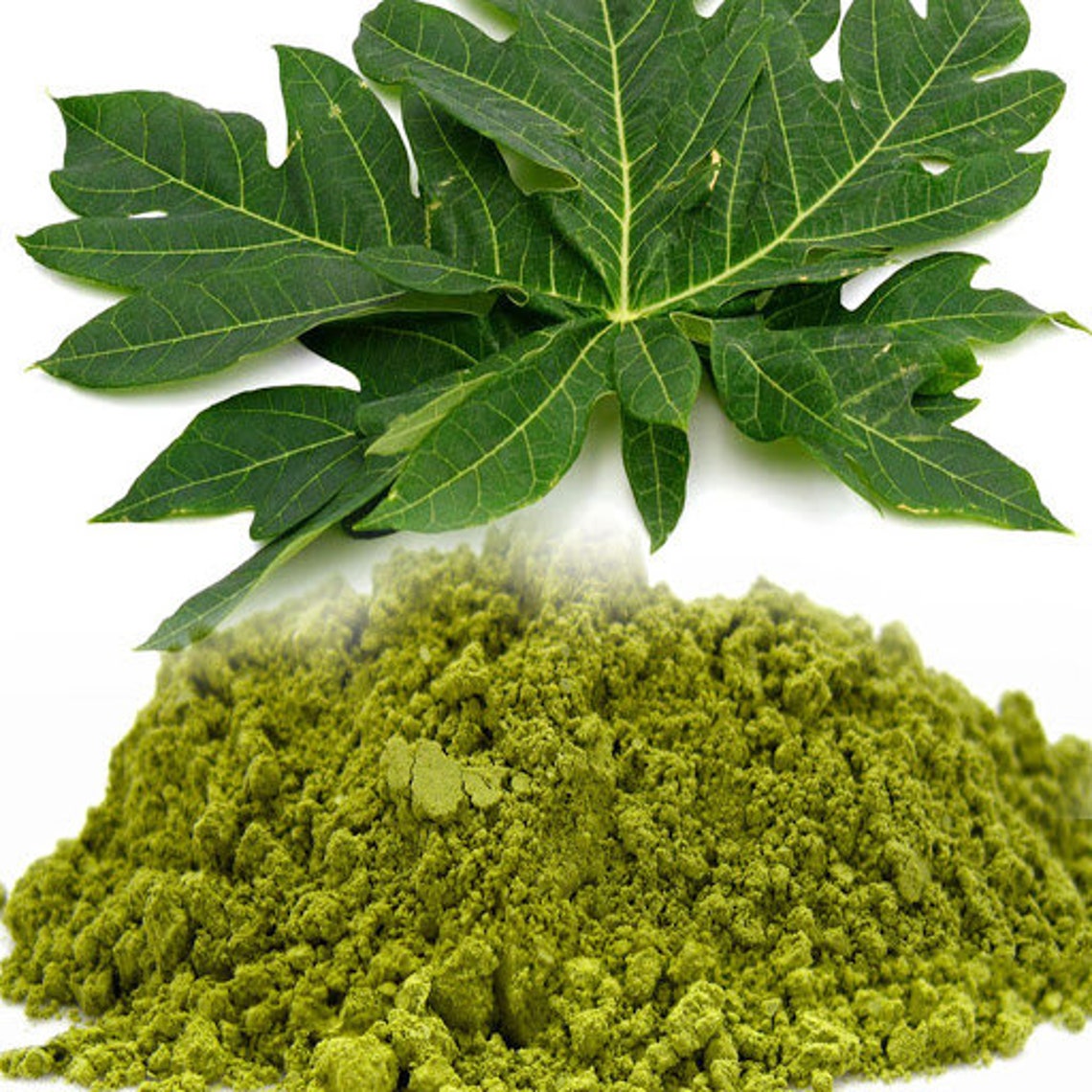 Ceylon Fresh Natural Organic Papaya Dry Leaf Powder Etsy
