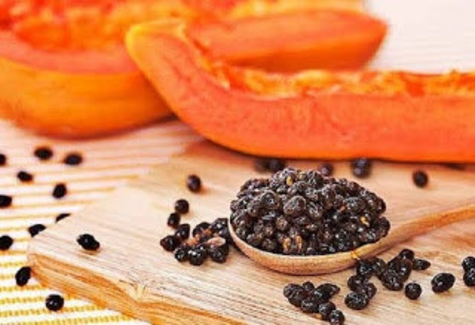 Sri lanka 100 Organic Dried papaya seed Etsy