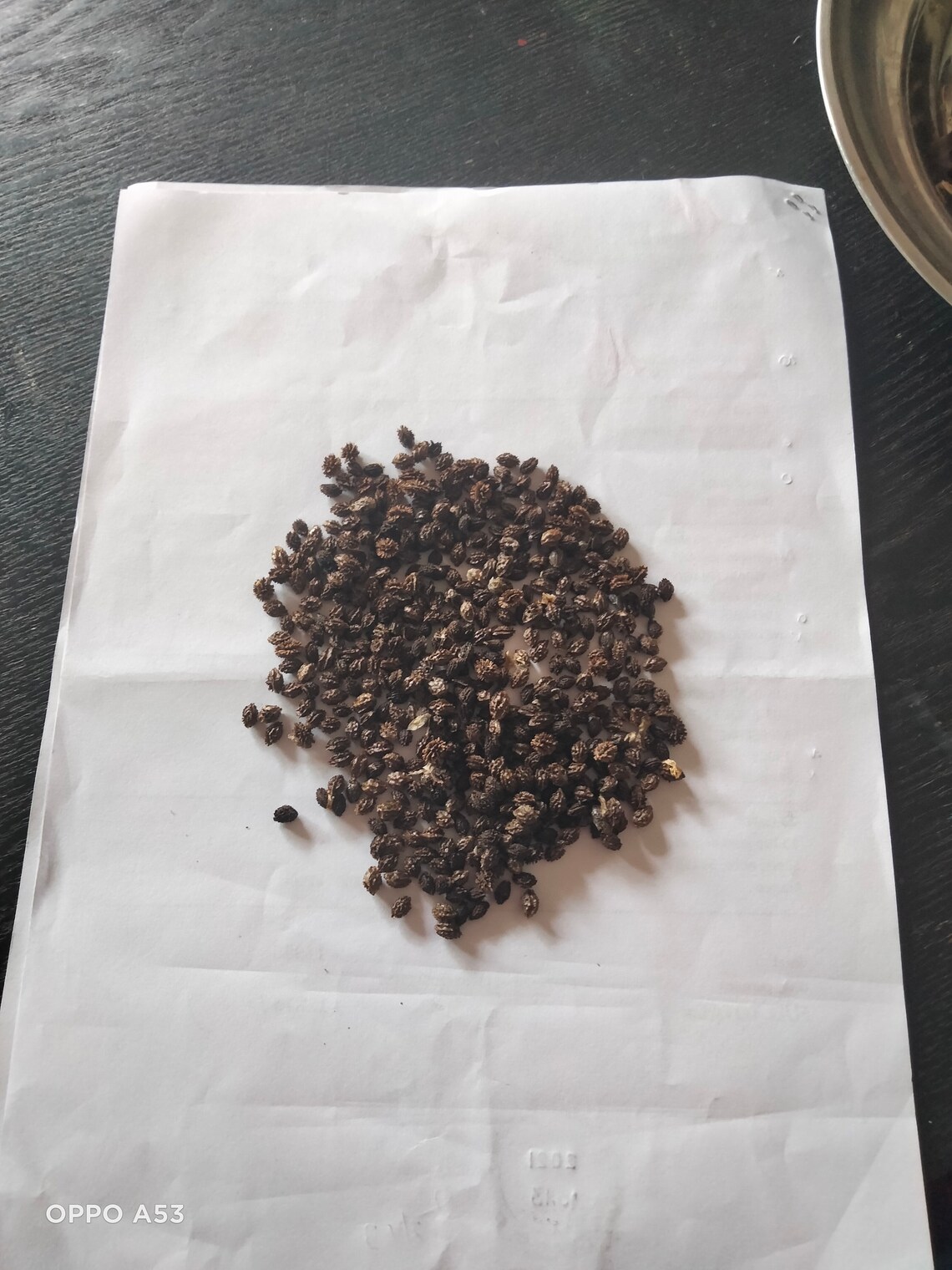 Sri Lankan Dried Papaya Seeds Powder Herbal for Health 100 Etsy