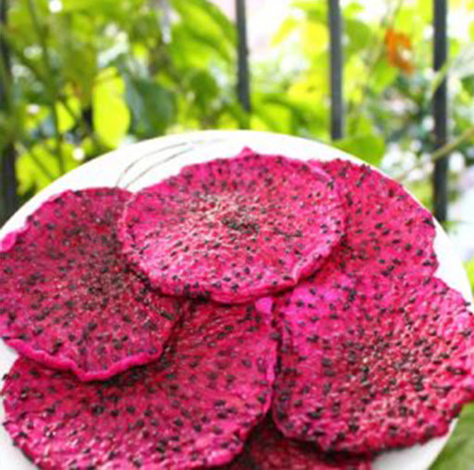 Dehydrated Dragonfruit slices Etsy