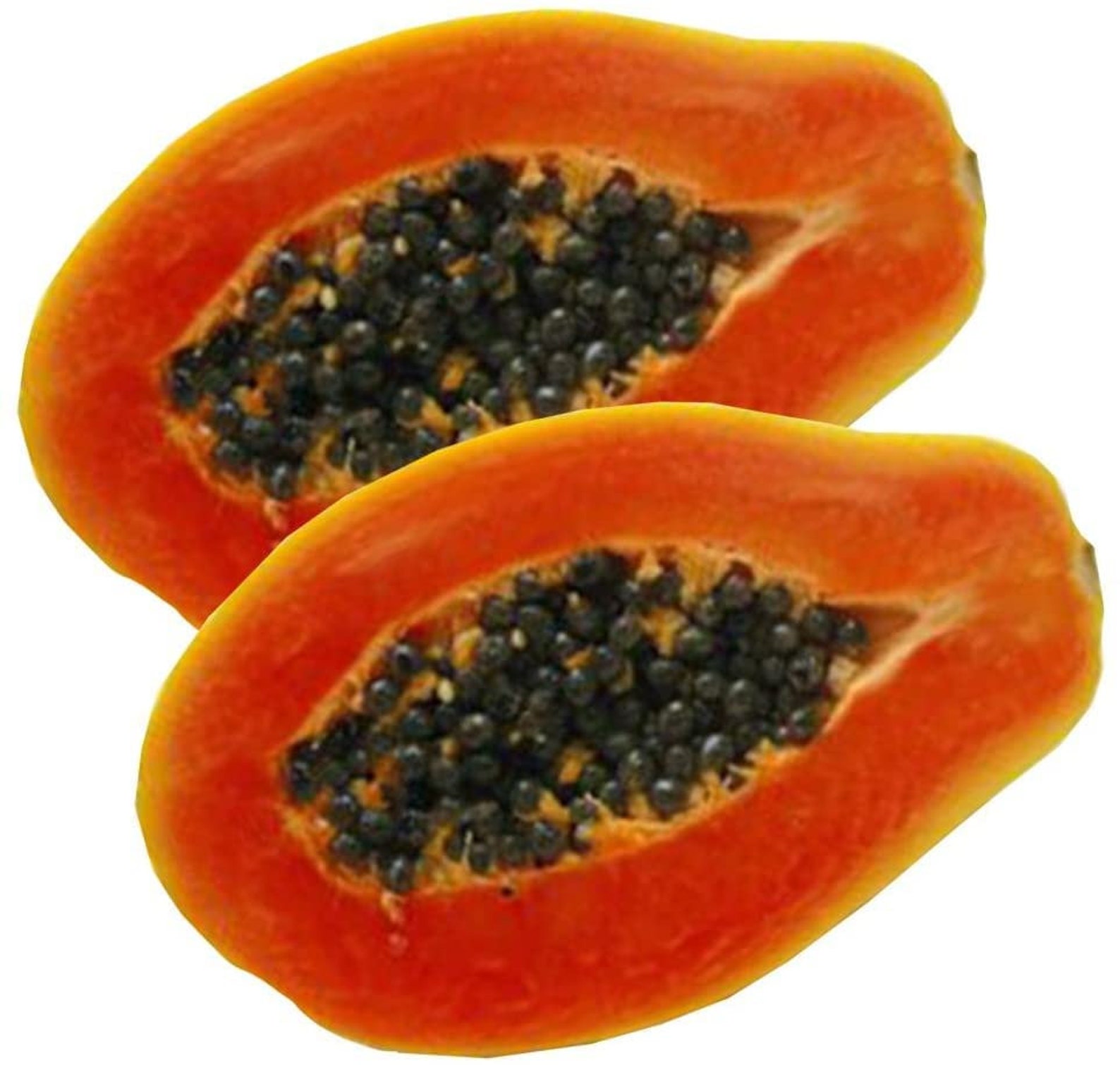 Sri lanka 100 Organic Dried papaya seed Etsy