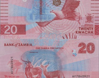 ZAMBIA 20 Kwacha, B172a, 2024, UNCIRCULATED; Features Water Buffalo