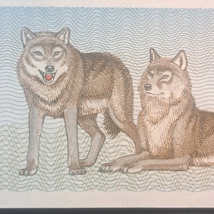 May include: A Lithuanian 500 litas banknote featuring two gray wolves. The text "VERTIBINIS ROPERTIUS UZ JO PADRIBINEJIMA BAUDZIAMA PAGAL ISTATYMA" is printed on the left side of the banknote.