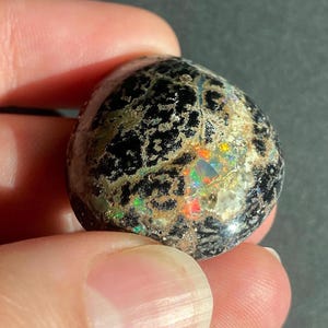 May include: A polished, oval-shaped gemstone with a black base and a textured, web-like pattern. The stone displays iridescent flashes of color, including red, green, and yellow. The gem is held between fingers.