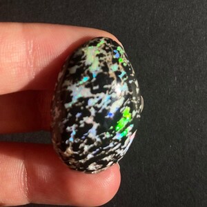 May include: An oval-shaped gemstone with a black base and a speckled pattern of white and iridescent colors. The gemstone displays flashes of green, blue, and pink, creating a vibrant and unique appearance. The stone is held between fingers.