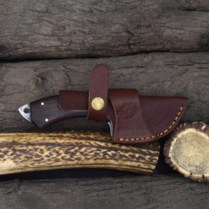 Custom Handmade 7" Gut Hook Skinning Knife with Rosewood Handle & Dual Sheath (2067-IRW) image 7