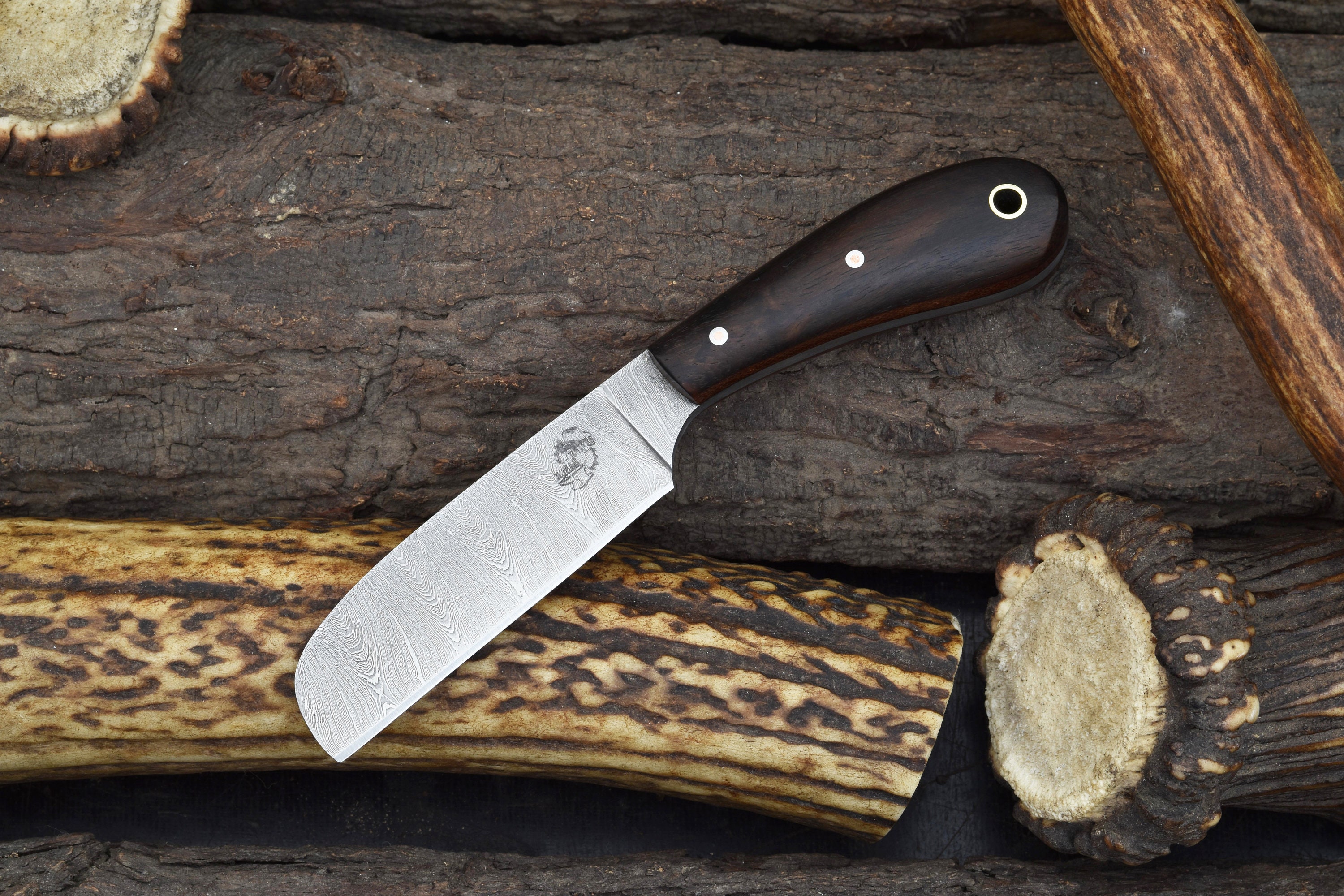 Handmade Damascus Steel Small Castrator Knife with Stabilized Rosewood Handle & Dual Carry Horizontal/Vertical Cowboy Sheath (3177-IRW)