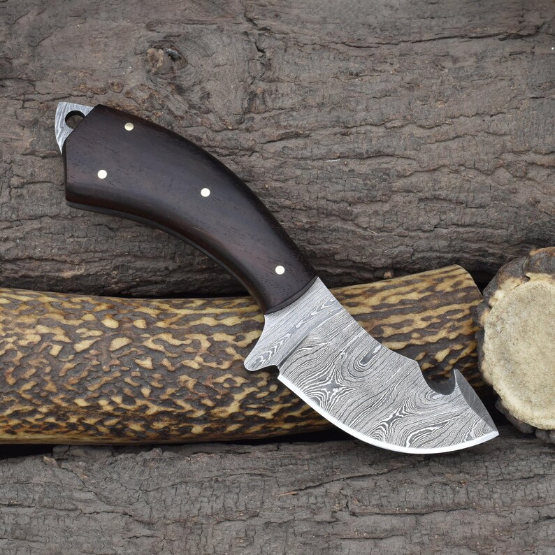 Custom Handmade 7" Gut Hook Skinning Knife with Rosewood Handle & Dual Sheath (2067-IRW) image 3