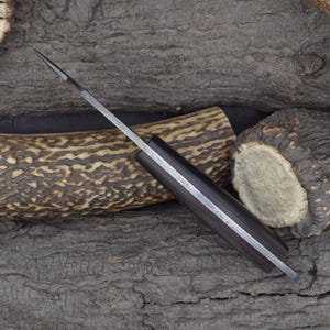 Custom Handmade 7" Gut Hook Skinning Knife with Rosewood Handle & Dual Sheath (2067-IRW) image 5