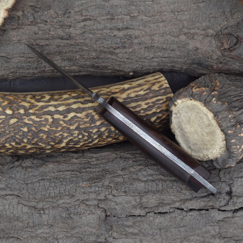 Custom Handmade 7" Gut Hook Skinning Knife with Rosewood Handle & Dual Sheath (2067-IRW) image 6
