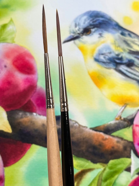 Professional Watercolor Rigger Brush Set of 2, songbird Cruelty