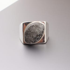 May include: A silver ring with a rectangular band and a large, oval-shaped stone. The stone is gray with a textured, patterned surface. The ring has a modern, geometric design.