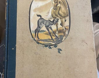 La belleza negra, de Anna Sewell, edición de 1945, tapa dura, libro infantil clásico