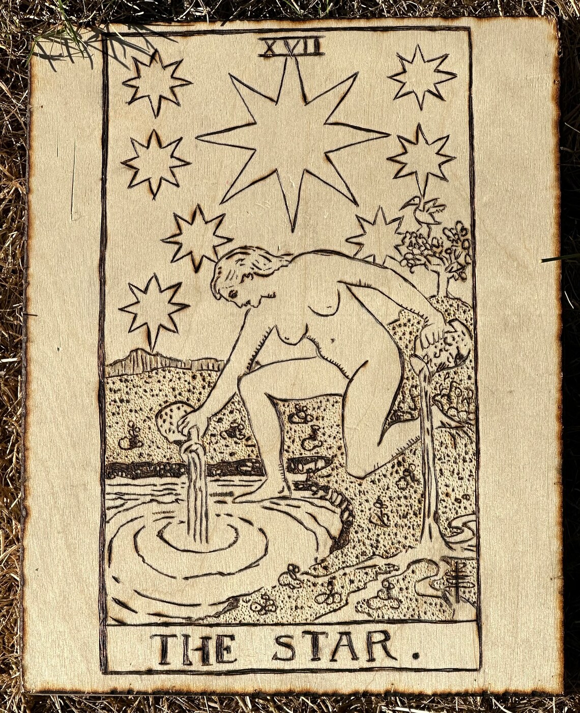 Star Rider Waite The Star - Rider Waite Tarot Card - Wood Burned Pyrography Artwork - Etsy