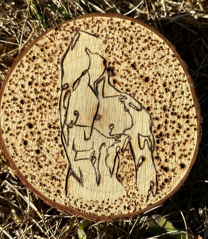 Pyrographics Figure The Todd With Spotted Background - Wood Burned Pyrography Artwork - Etsy
