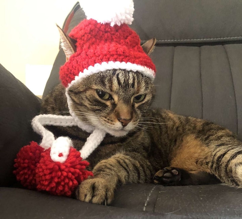 Handmade Crochet Christmas Santa Hat Beanie  fits cats and image 1
