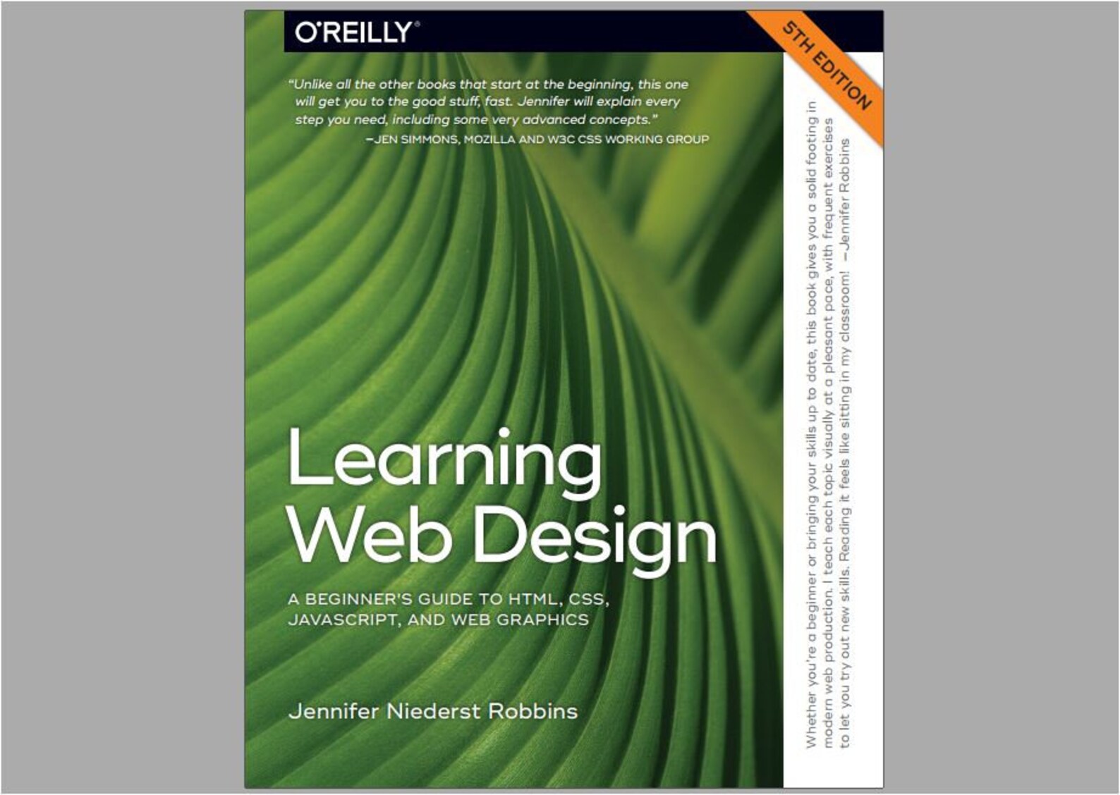 книжки по веб дизайну. книги по веб дизайну. дизайн для начинающих книга. книги по дизайну интерьера. дизайн для начинающих книга.