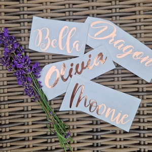 Rosegold personalisiert Aufkleber Sticker Schriftzug Namensaufkleber individuell  Hochzeit Kinder Pferd Eimer Schale Schüssel Namen Schrift