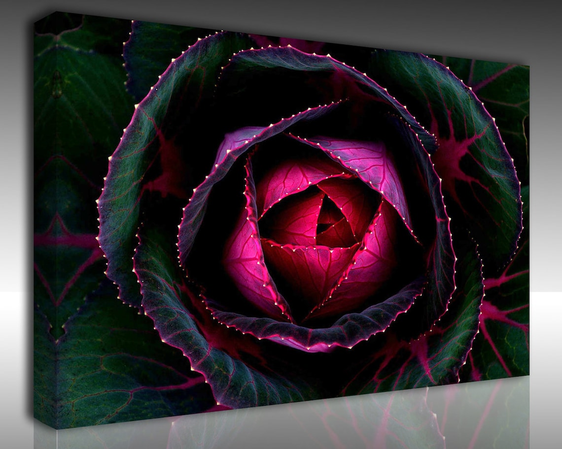 Black Rose Wall Art Awesome Rose Canvas Print Botanical Print Etsy