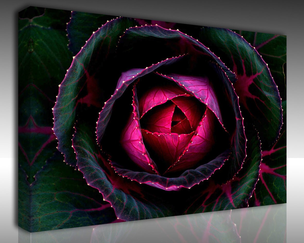 Black Rose Wall Art Awesome Rose Canvas Print Botanical Print Etsy