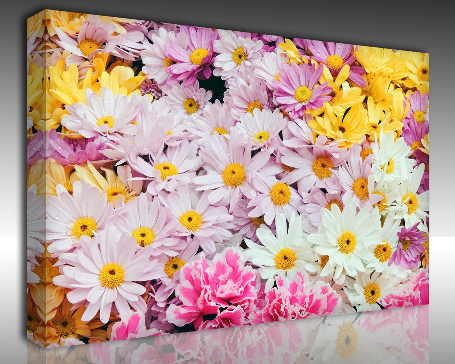 Beautiful Daisy Wall Art Beautiful Flower Canvas Print Etsy
