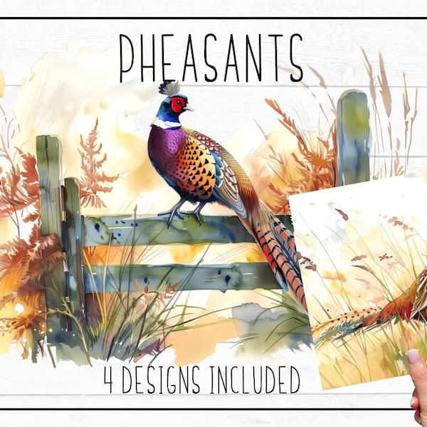 Pheasants Watercolour Art | 4 Pheasant Wildlife Designs PNGs Files for Sublimation and Print