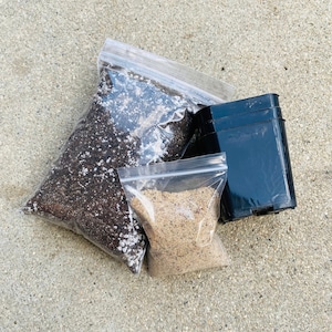 Lithop succulent soil mix