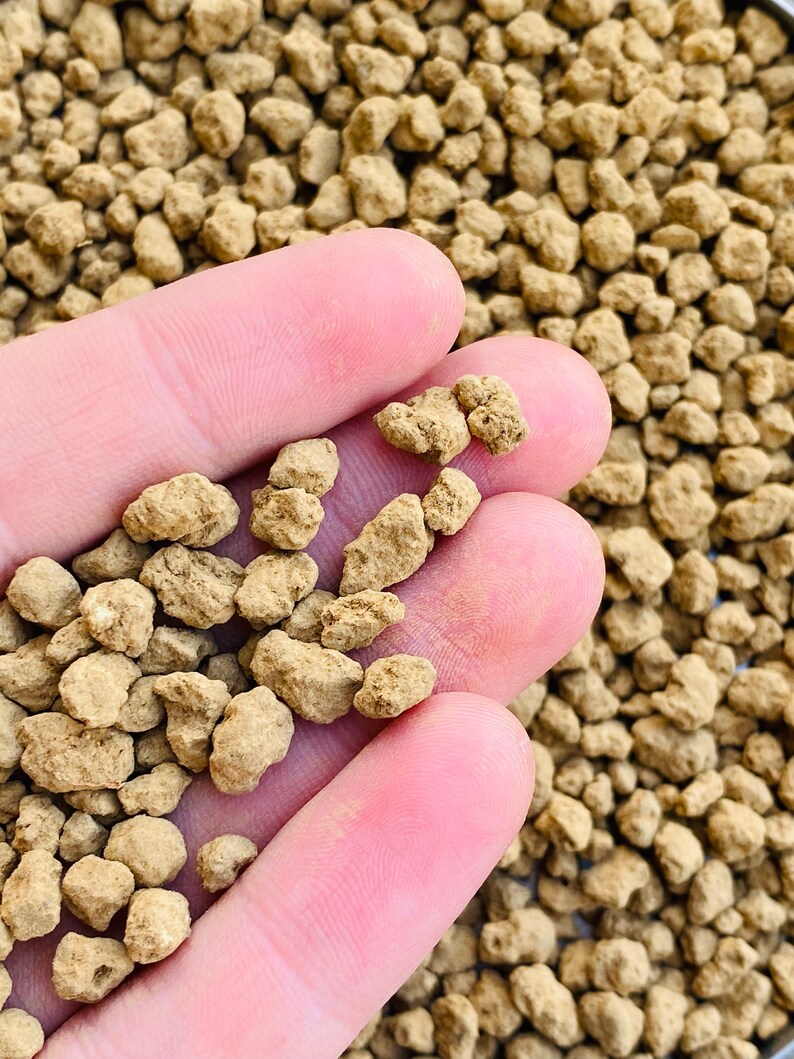 Akadama Bonsai Soil / Top Dressing Etsy