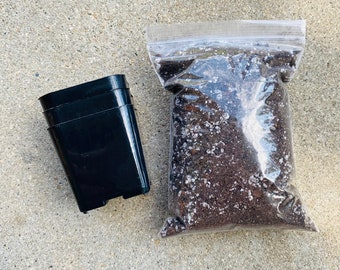 Succulent soil mix / choose the amount