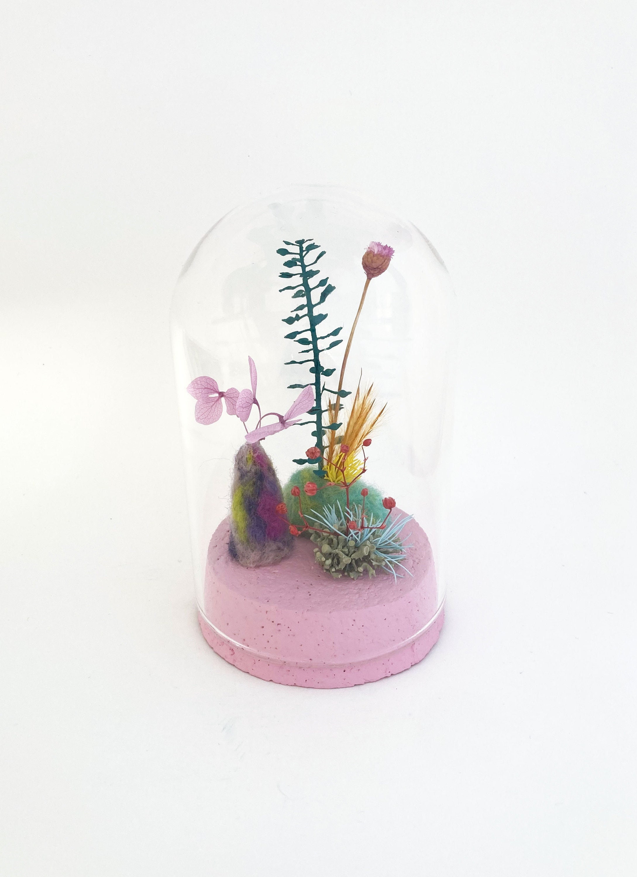 Composition Florale Sous Globe en Verre, Pièce Unique, Objet Décoration/Microcosme 154
