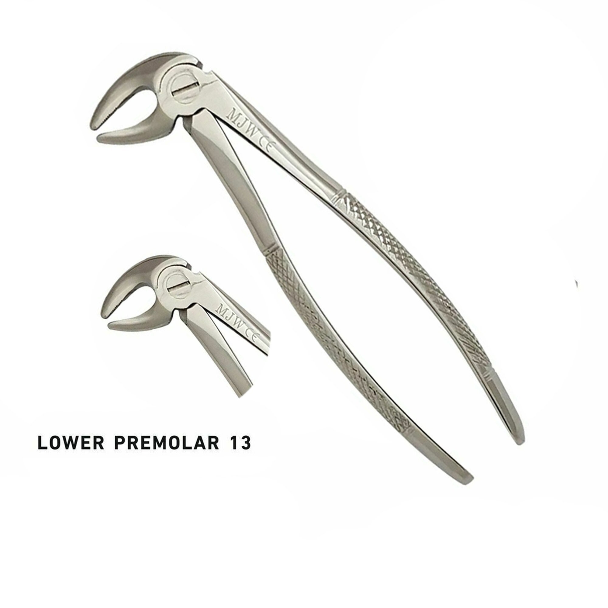 Dental Forceps Tooth Extraction Forceps No. 13 Surgical Etsy