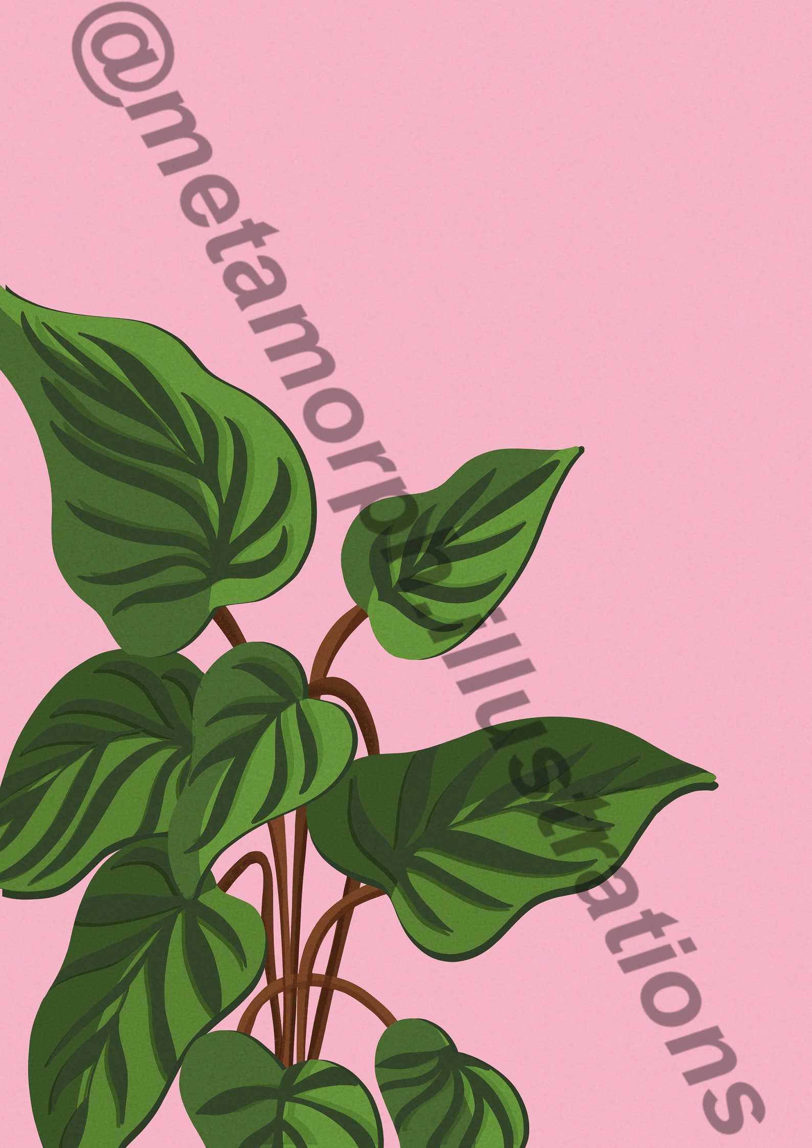 Home Plant Poster Plant Wall Art Plants Print Plant Lover | Etsy