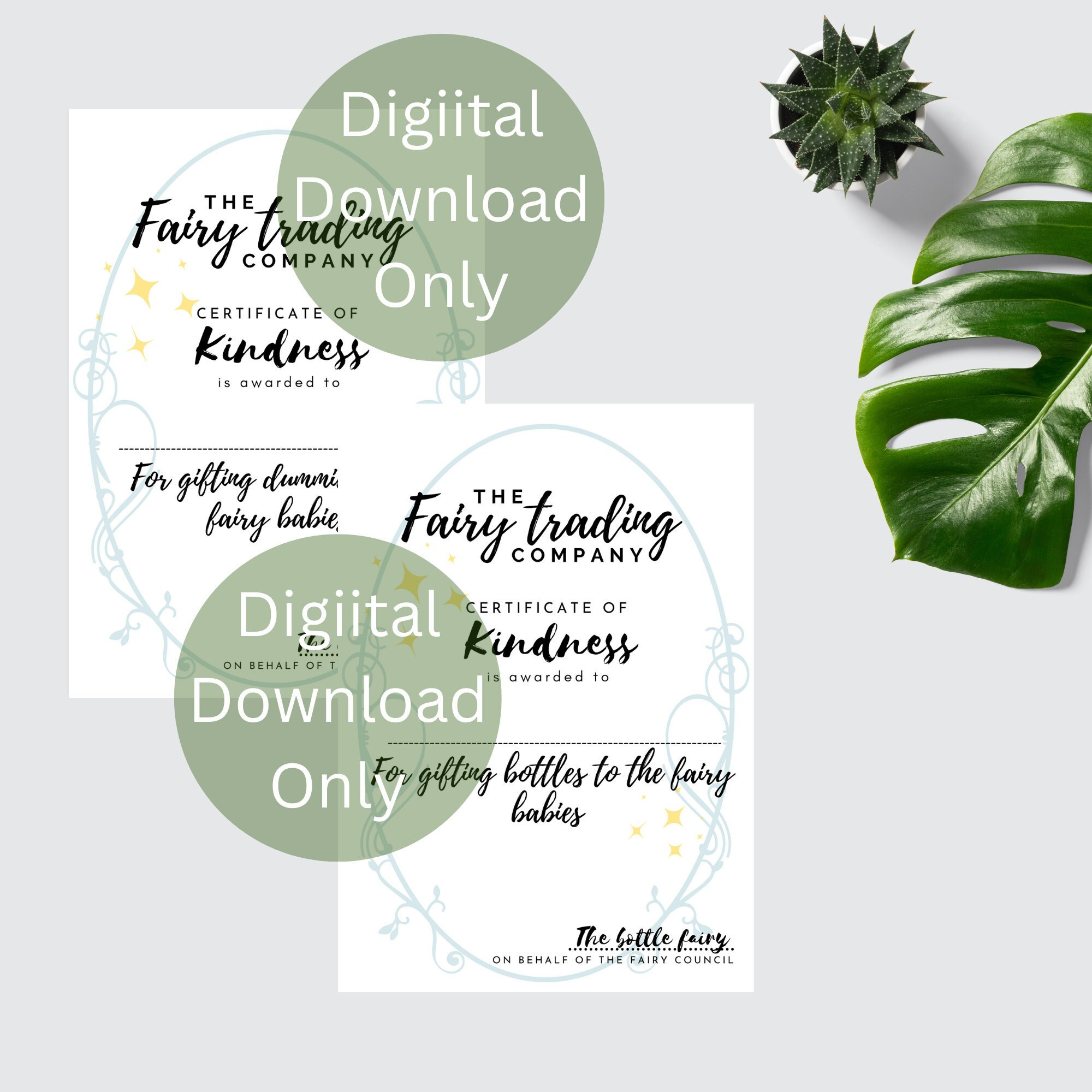 A4 Digital Download Only Dummy and bottle fairy certificate