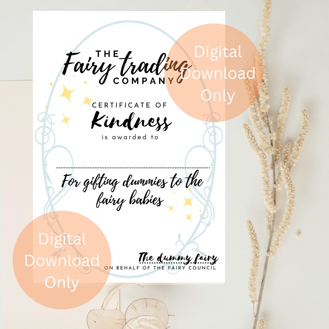 A4 Digital Download Only Dummy Fairy Certificate Etsy