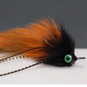 May include: A black and orange fly fishing lure with a green eye.