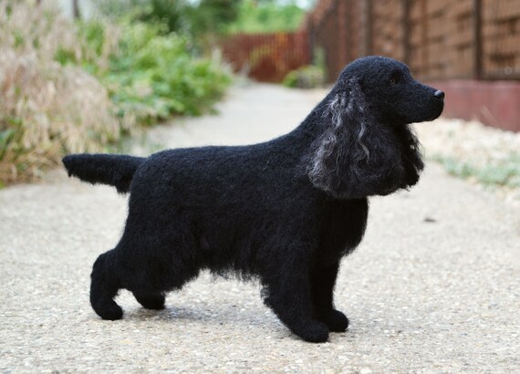 Pictures of best sale miniature cocker spaniels