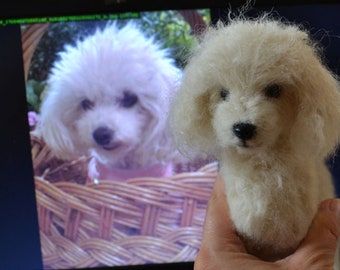 Custom felted dog, Toy poodle needle felted sculpture, Art decor gift