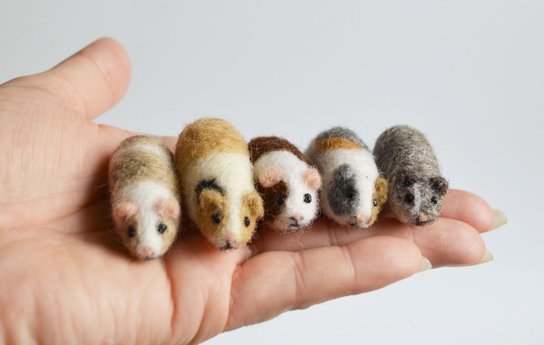Needle Felted Tiny Guinea Pig, Felted Guinea Pig Miniatures, Wool