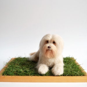 May include: A handmade, off-white dog figurine with a fluffy coat, lying on a bed of green artificial grass. The dog is set in a wooden frame, creating a miniature scene. The dog's features are detailed, with a small, brown nose and expressive eyes.