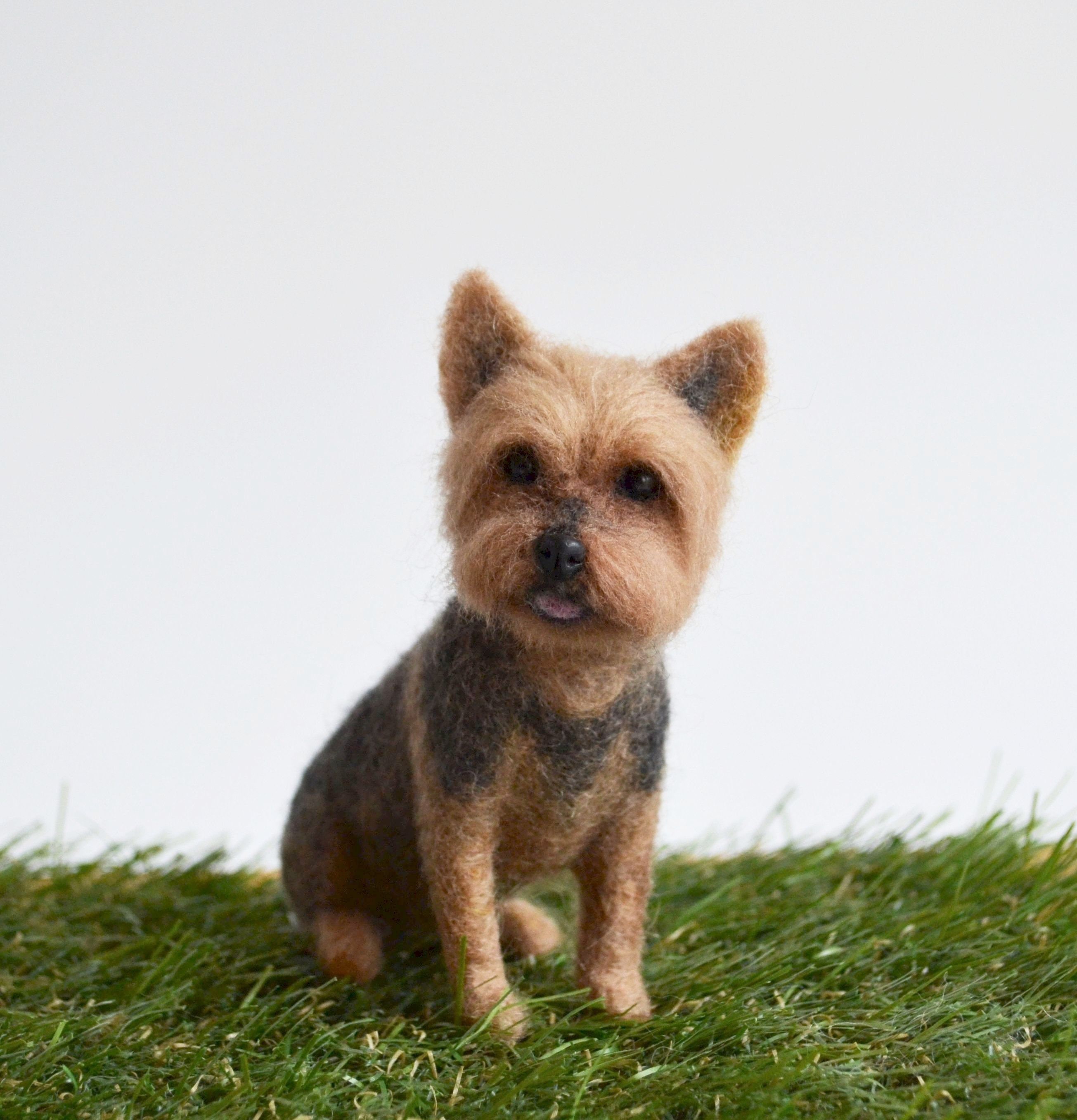 realistic yorkie dog that moves