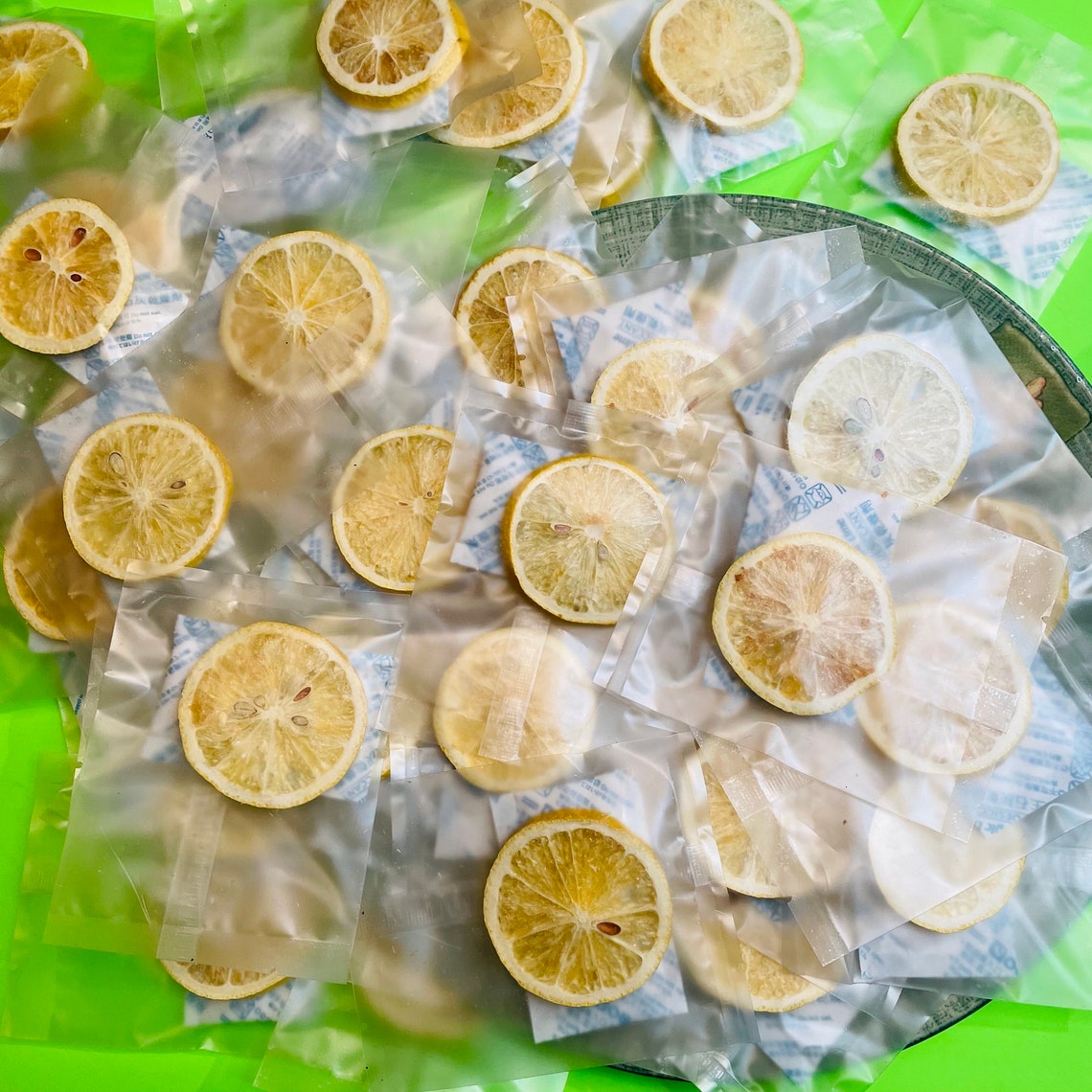 SinglePack FreezeDried Lemon 10 Packkeep longer with Etsy